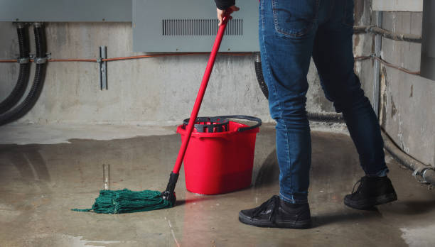 Best Flooded house restoration  in Oakbrook Terrace, IL