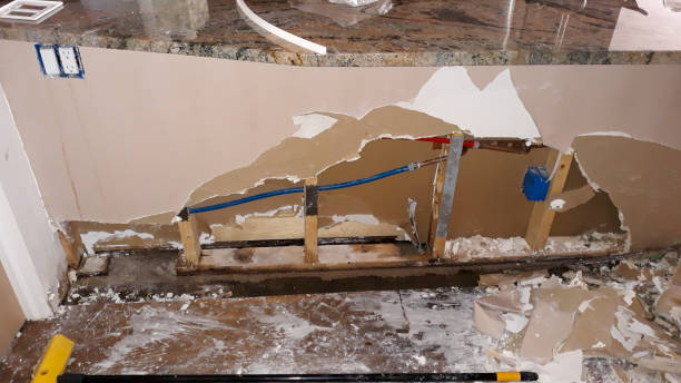 Carpet water damage restoration in Oakbrook Terrace, IL