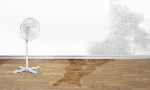 Water damage restoration mold remediation in Oakbrook Terrace, IL