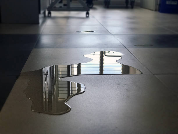 Professional Water damage restoration in Oakbrook Terrace, IL