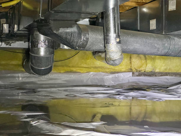 Best Ceiling water damage repair  in Oakbrook Terrace, IL