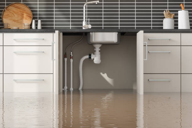 Best Professional water damage repair  in Oakbrook Terrace, IL