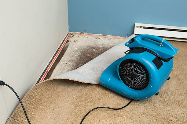 Best Commercial water damage restoration  in Oakbrook Terrace, IL